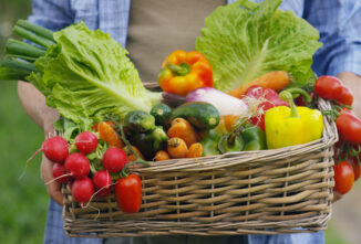 Growing a Traditional Victory Garden